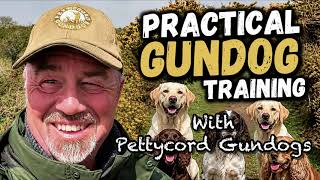 Gundog Training - Going Through The Gears!