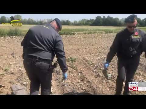 06/06/2022 - Rifiuti tossici in un campo di girasoli a Tortona