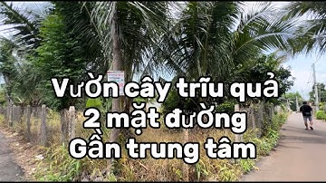 Chủ vở nợ ! Bán nhà vườn cây ăn trái sát trung tâm thị trấn huyện Châu Đức Bà Rịa Vũng Tàu