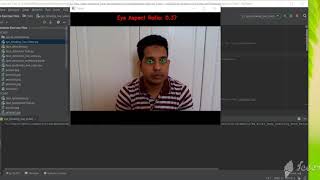 Sleep Detection in a Live video