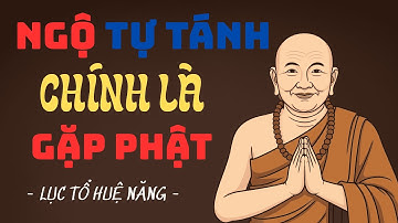 Ngộ Tự Tánh – Chính Là Gặp Phật | Câu Chuyện Cảm Hứng Về Lục Tổ Huệ Năng Dẫn Lối Tỉnh Thức