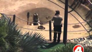 NY girl dies while playing mini golf in Orlando screenshot 2