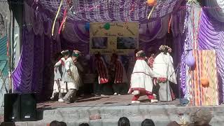19 .11.2019 G. H. S. Nesang Annual Function..