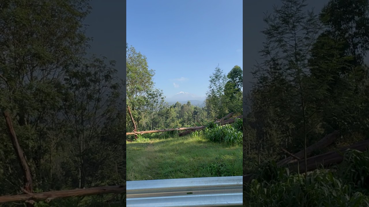 Kilimanjaro Drive to the Marangu Route: Our First Unobstructed View of Africa's Peak!