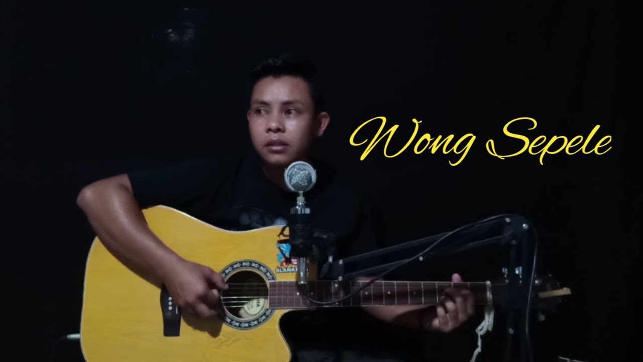Cover Wong Sepele || Ndarboy Genk || Cover Ansori db