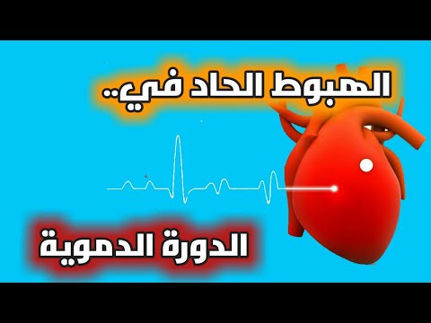 فيديو: الصدمة بسبب انخفاض الدورة الدموية في الكلاب