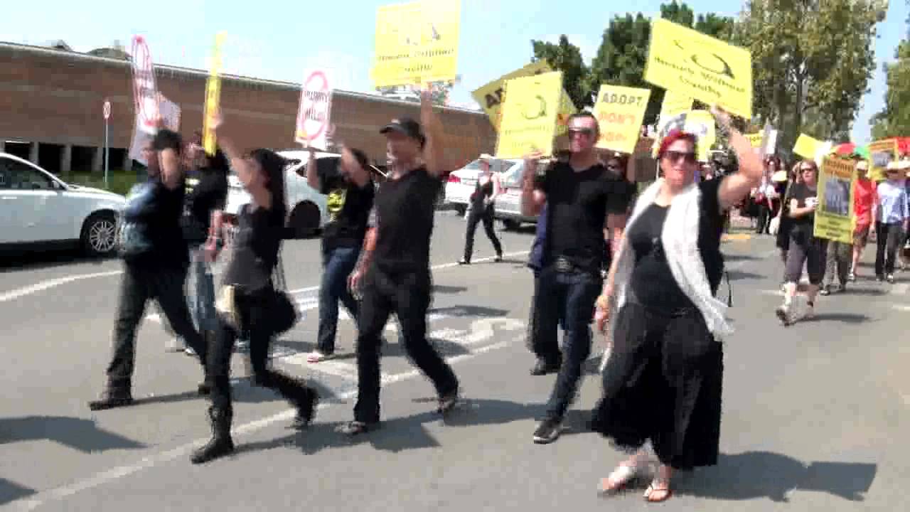 BWC - Paradise Pets Protest (rolling action #2)