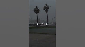 مريم - الآية ٣٢وَبَرًّۢا بِوَٰلِدَتِى وَلَمْ يَجْعَلْنِى جَبَّارًا شَقِيًّا