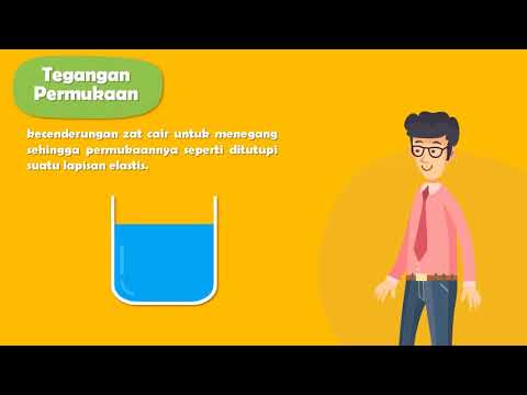 Video: Apakah contoh tegangan permukaan?