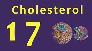 Cholesterol | Lipid | LDL, HDL