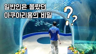 아쿠아리움의 바닷물은 어떻게 가져올까? 수많은 생물들 관리는 어떻게? 여과기는 뭘쓰지? [TV생물도감]