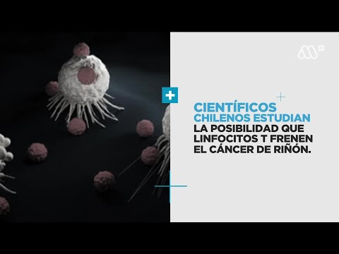 Vídeo: Los Científicos Coreanos Eliminan Con éxito Las Células Cancerosas Con Imanes - Vista Alternativa