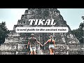 Flores  tikal travel guide  history of the ancient maya ruins  4k