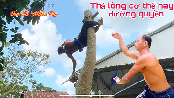 Vua Khỉ Miền Tây leo Cưa Cây Cóc trên ngôi nhà Mồ và khỡi động mấy đường quyền