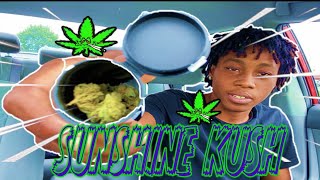 Hotbox sesh Come💨Sunshine Kush with me hotbox #5 #420 #sunshine