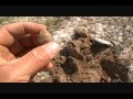 Southeast Virginia Relic Hunting with Wes-N-VA