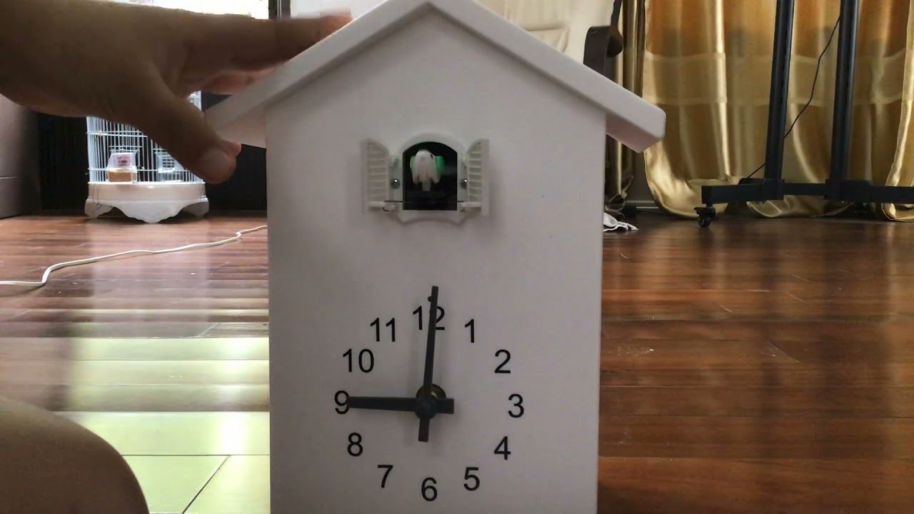 Cuckoo clock chime YouTube