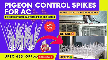 ✅Best AC Pigeon Protector | Pigeon Control Spikes | Window AC Protection from Pigeon