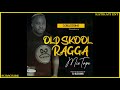 BEST THROWBACK RAGGA/DANCEHALL HITS MIX 2021 ~ DJ BLESSING FT TOK,SHAGGY, SEAN PAUL, BENNIE MAN