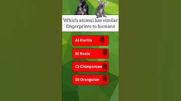 🧐 Similar fingerprint #gkquiz #generalknowledge #youtubeshorts #shorts #shortvideo