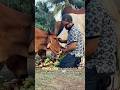 People Thought He Was Wasting Money... Until They Saw This 🥺#viral #asmr #animals #money #kindness