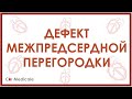 Дефект межпредсердной перегородки: что такое, механизм развития, симптомы и осложнения - кратко