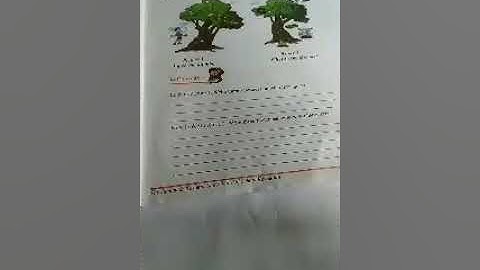 English class 3rd Happy Trees