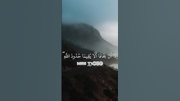 ماهر المعيقلي - سورة البقرة ( برواية حفص عن عاصم ) الأية 229