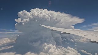 Airplane Wing View with Engine Hum & Soft Wind – Relaxing White Noise for Sleep & Focus screenshot 3