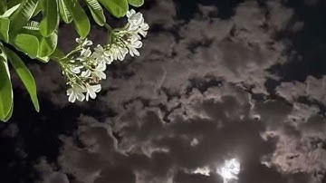 سورة البقرة كاملة