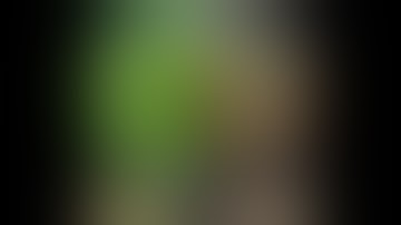 Controlling Temperature and Humidity in Your Grow Room for Healthier Plants