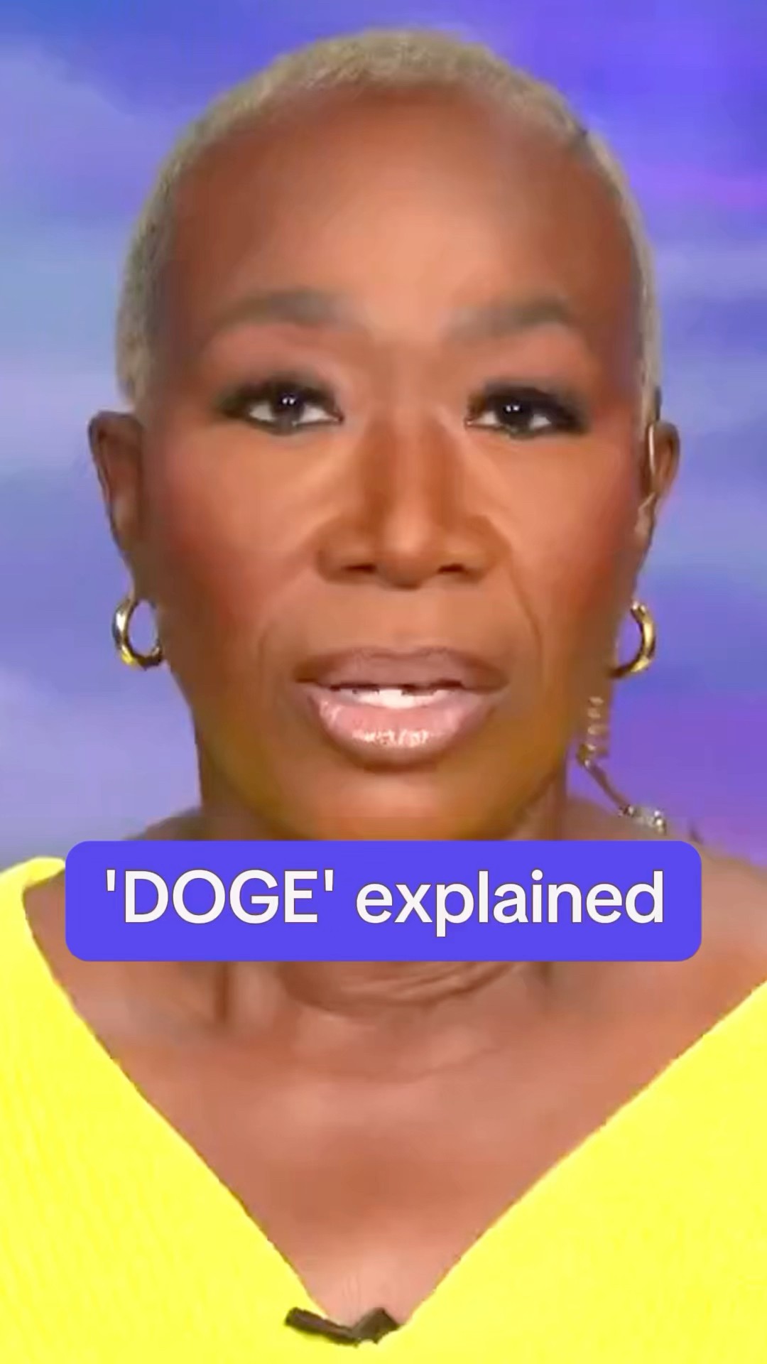 'DOGE,' explained
