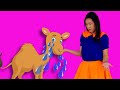 Where Animals Live Song + MORE | Baby Dont cry | Kids Funny Songs