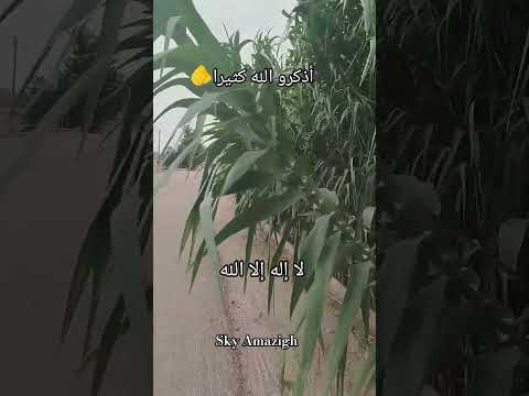 أذكرو الله في الدنيا يذكركم عند موتكم