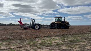 Clay Delver Australia