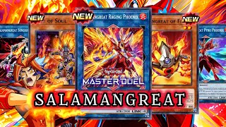 SALAMANGREAT RAGING PHOENIX! NEW Support from REVIVED LEGION [Yu-Gi-Oh! MASTER DUEL]