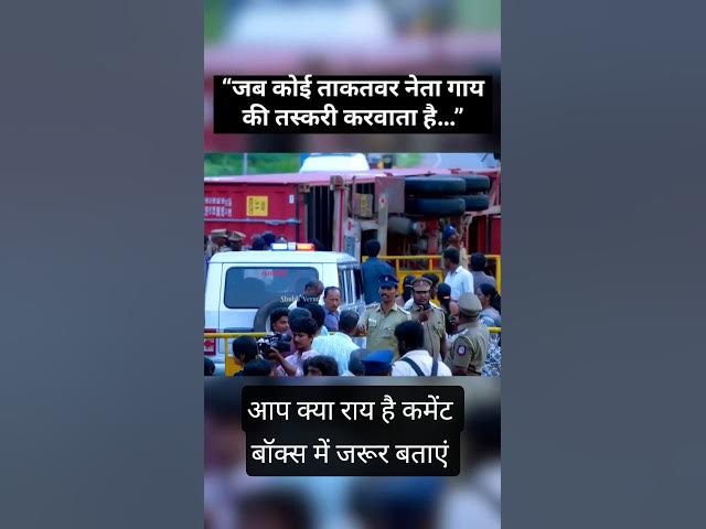 Inside India’s Cow Smuggling Crisis #trending #viral #video