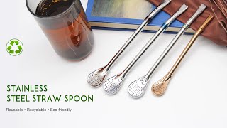 stainless steel straws spoon.