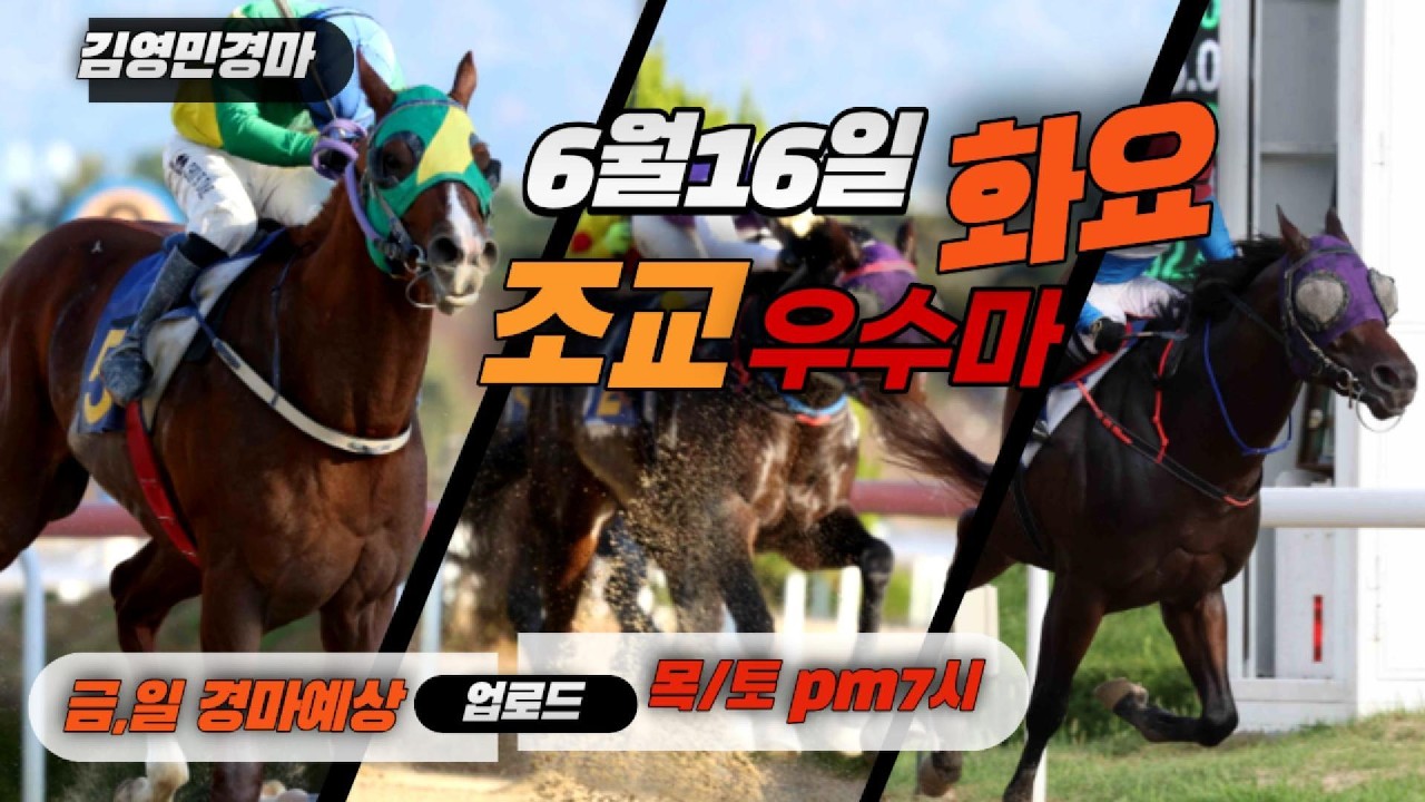 김영민경마 6월3주차 화요조교우수마 3두