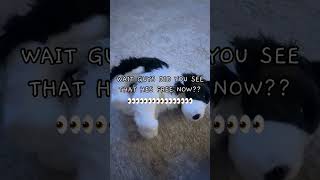 Ooouu shiiii👀 #essa #customplush #dssa #essacommunity #meow #fyp #viral #xyzbca #funny #alternative
