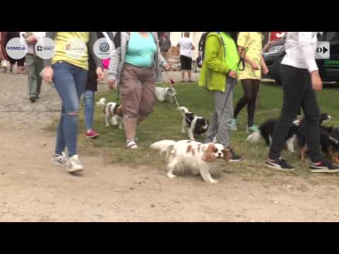 Video: Min hund vil ikke slutte å slikke babyen