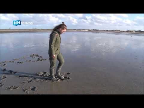 Girls playing Stuck in the Mud - (part 1)