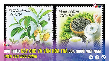 Giới thiệu cây chè và văn hóa trà của người Việt Nam trên tem bưu chính | NATV