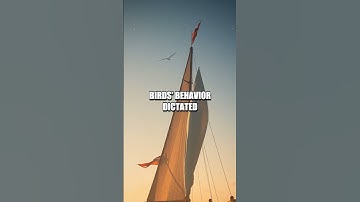 Sailing by Light and Wave: Secrets of Polynesian Navigation