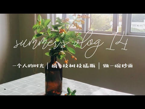 一个人的时光｜摘一枝树枝插花瓶 做一碗炒面 回顾下生活
