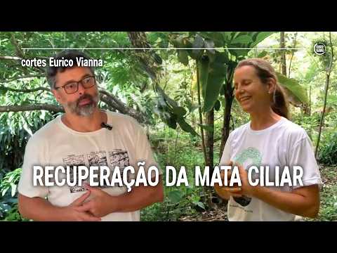 Aplicando Técnicas da Agrofloresta para Recuperação de Área Degradada, com Fabi Penereiro