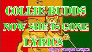 Collie Buddz- Now she's gone (LYRICS)