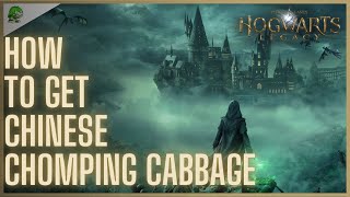 Hogwarts Legacy How to get Chinese Chomping Cabbage Details
