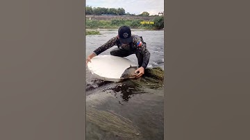 Cá Lớn - bắt cá Chép Khủng đang cố vượt thác 😱 #khacthuyvlogg