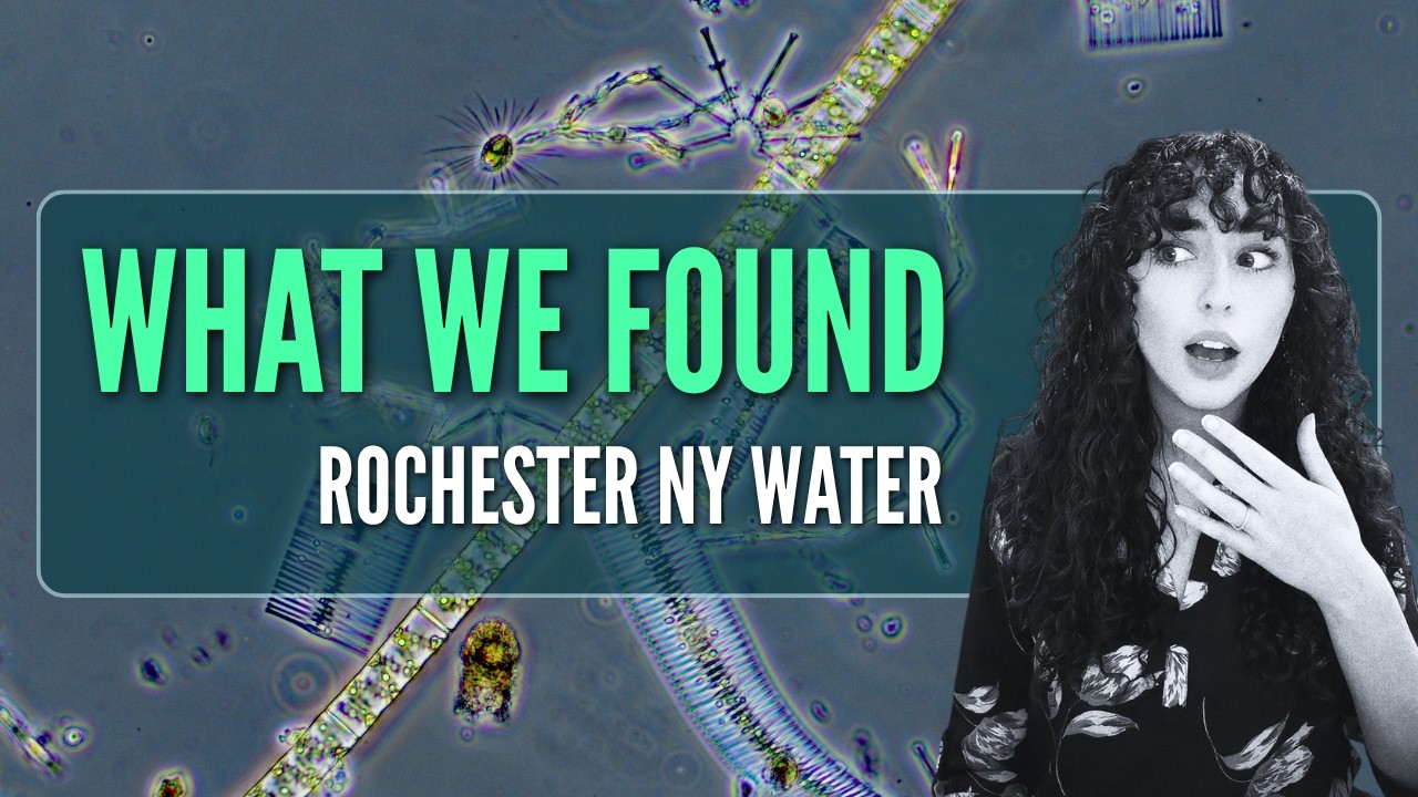 How Rochester, NY Manages Algae Before It Touches Your Tap